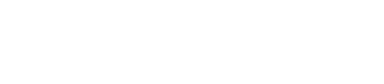 Werx Vision logo